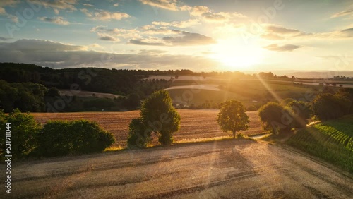Aerial footage of a beautiful sunrise over an idyllic rural landscape with trees and dry fields on hills, illuminated with warm gold sunlight
