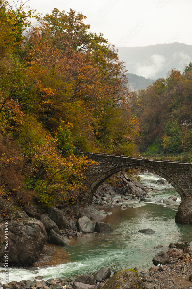 Autumn Season in the Black Sea Mountains, Borcka Artvin, Turkey Autumn Season in the Black Sea Mountains, Borcka Artvin, Turkey