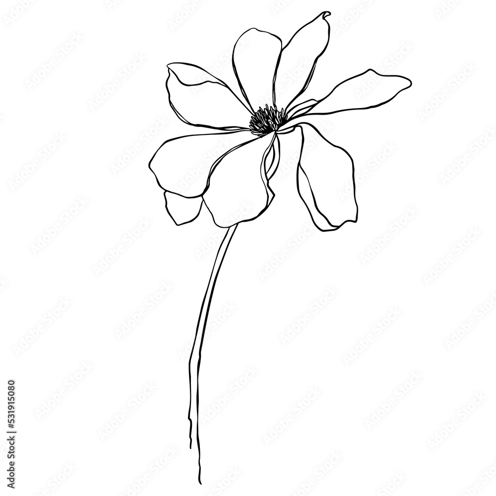Flower line art illustration Flower line art illustration