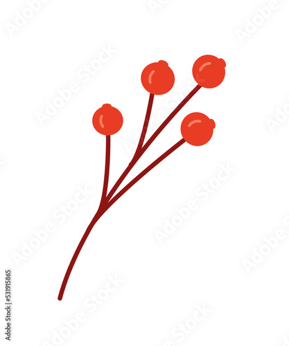 A branch with red berries of mountain ash or viburnum doodle vector illustration, isolate on white.