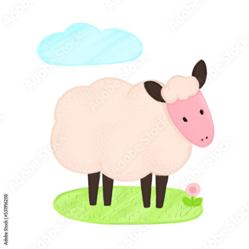 Hand drawn illustration of farm animal. Cute sheep. Kids illustration 
