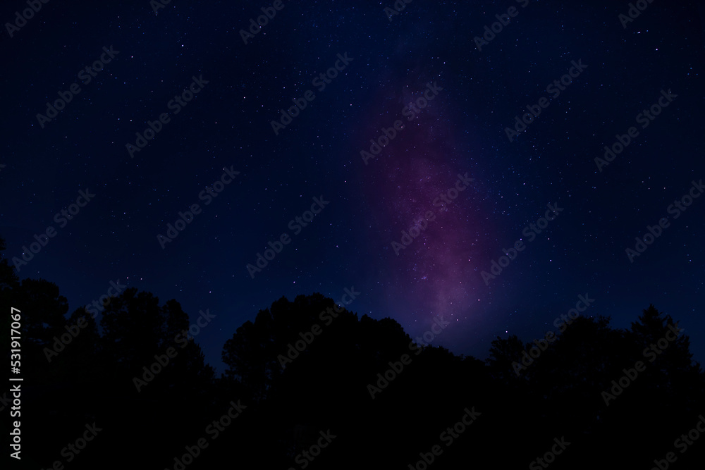 Milky Way rising over a forest in North Carolina