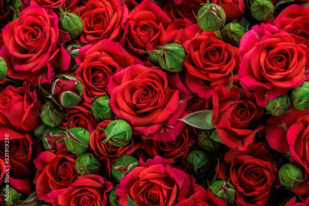 Bunch of fresh red roses floral background Bunch of fresh red roses floral background
