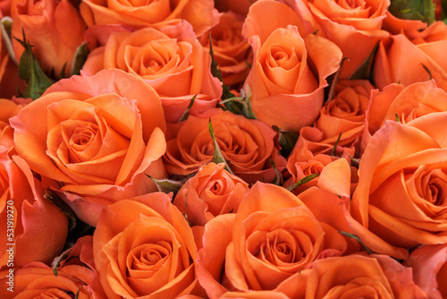 Bunch of fresh orange roses floral background