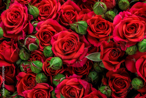Fototapeta Naklejka Na Ścianę i Meble -  Bunch of fresh red roses floral background