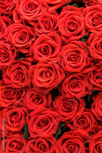Bunch of fresh red roses floral background