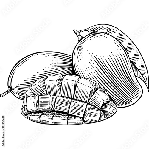 Hand drawn Mangoes