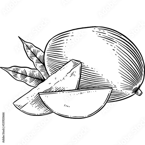 Hand drawn Mango