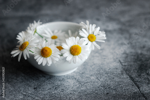 Chamomile in a vase. Beautiful flowers on a concrete table