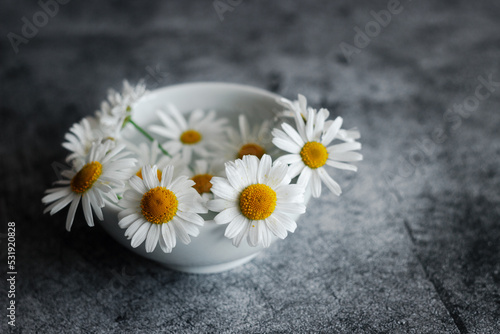 Chamomile in a vase. Beautiful flowers on a concrete table