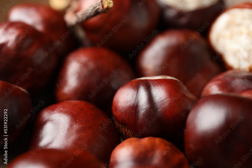 Pile of horse chestnuts as background, closeup Pile of horse chestnuts as background, closeup