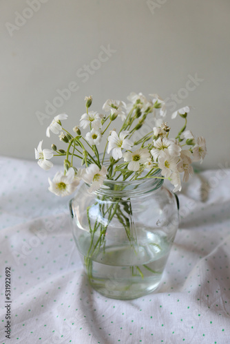 Bouquet of beautiful white snow-in-summer flowers in glass vase on fabric