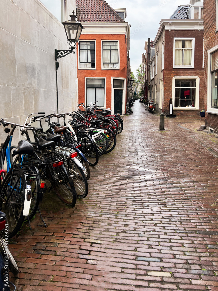 Many parked bicycles near building on city street