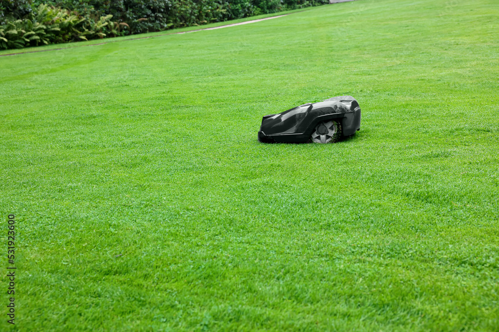 Modern lawn mower on green grass outdoors. Space for text