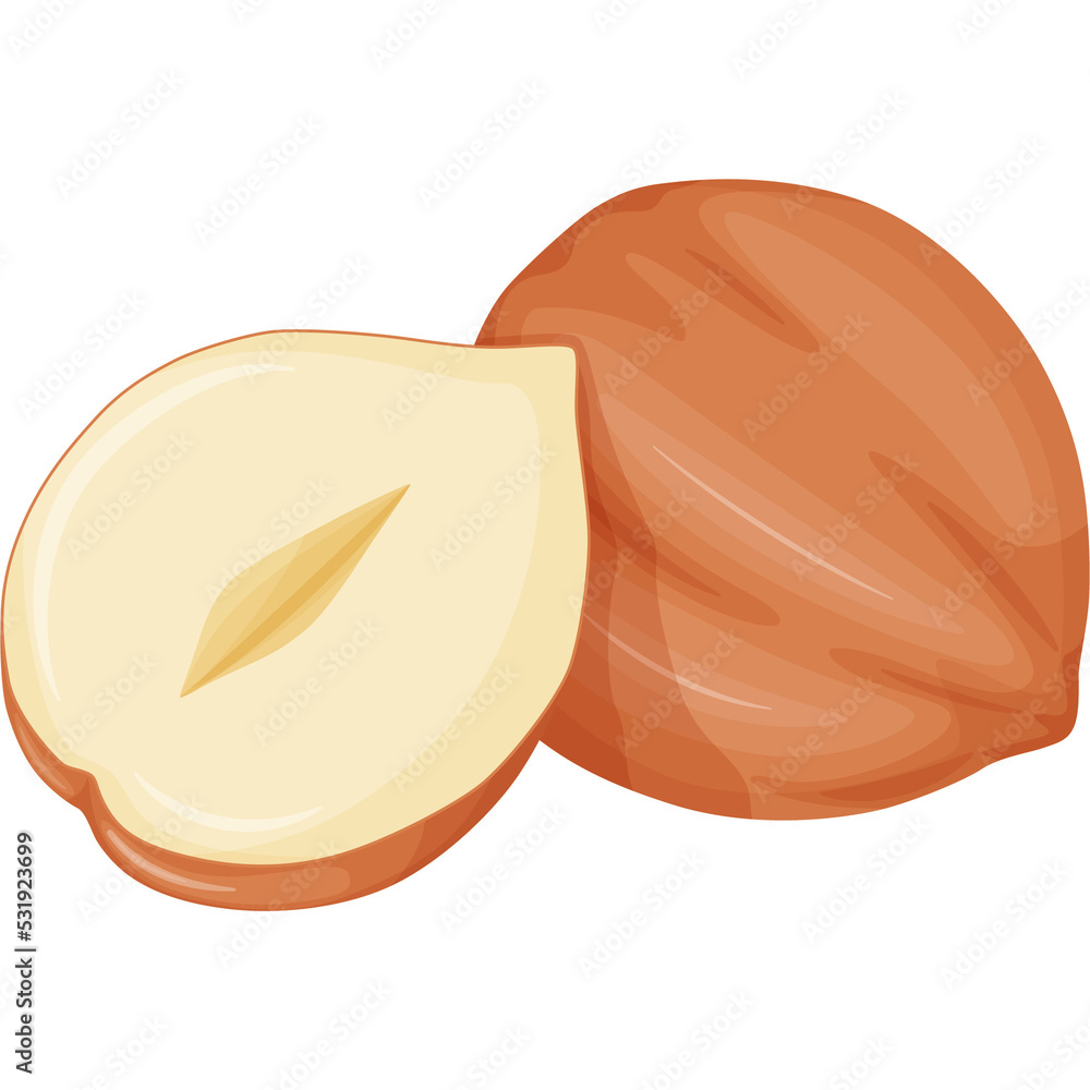 Hazelnut. Nuts in shell. Hazelnut. Nuts in shell.
