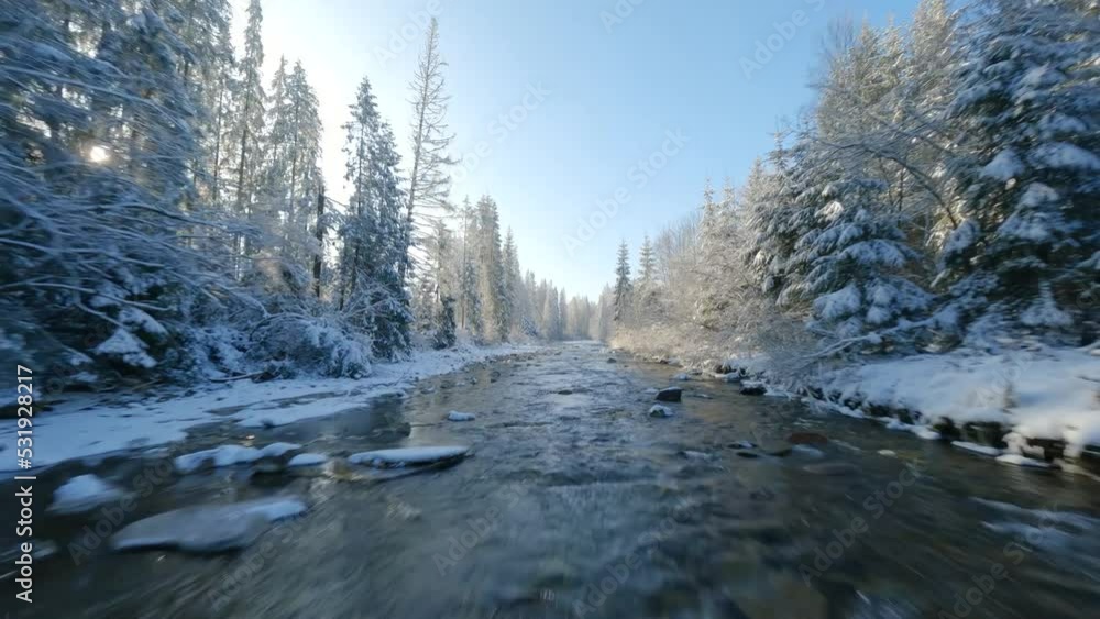 Fast flight along a mountain river surrounded by a snow-covered forest. Fast flight along a mountain river surrounded by a snow-covered forest.