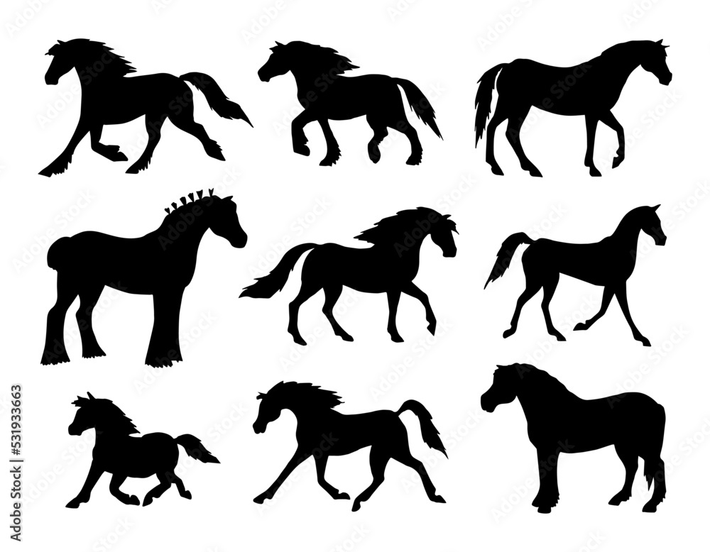 Vector set of hand drawn doodle sketch horse breeds silhouette isolated on white background