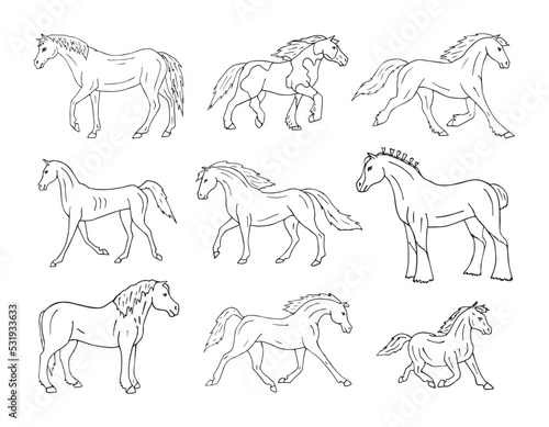 Vector set of hand drawn doodle sketch horse breeds isolated on white background