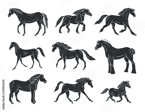 Vector set of hand drawn doodle sketch black horse breeds isolated on white background photo