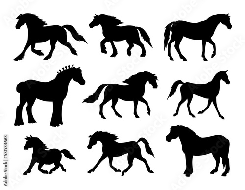 Vector set of hand drawn doodle sketch horse breeds silhouette isolated on white background
