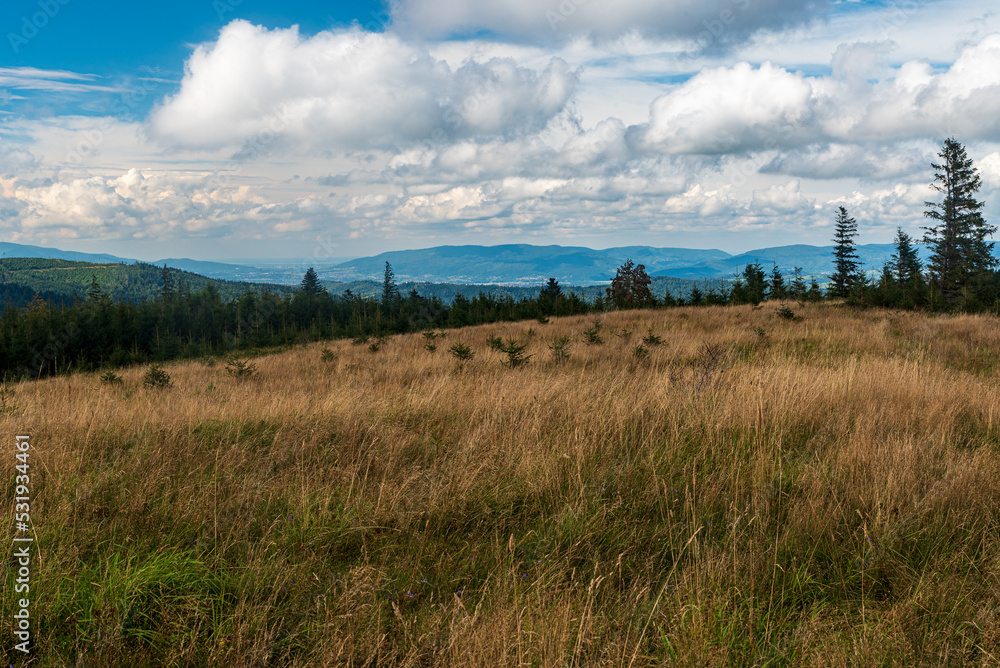 Hala Uszczawne bellow Pilsko hill in Beskid Zywiecki mountains in Poland Hala Uszczawne bellow Pilsko hill in Beskid Zywiecki mountains in Poland