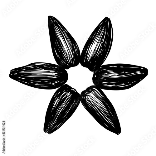 Sunflower seeds logo designed in the form of a flower, black seeds flower, vector seeds creative illustration
