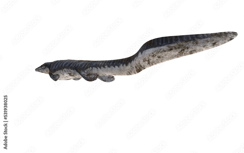 tylosaurus dinosaur on white background tylosaurus dinosaur on white background