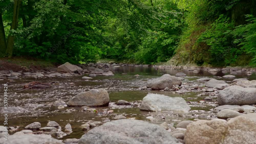Gorgeous relaxing shot of river in forest. Gorgeous relaxing shot of river in forest.