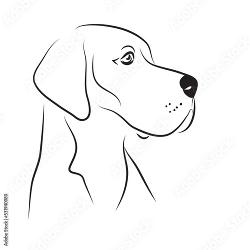 vector great dane portrait strong brave breed pedigree big dog silhouette contour outline logo tatoo