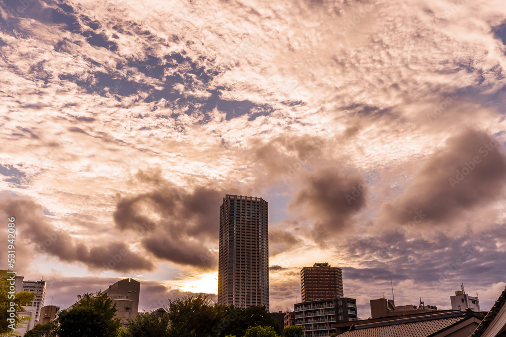Fototapeta premium 夕暮れの太陽に照らされた雲と都会のビル