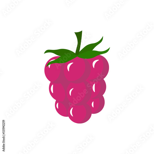 Ripe raspberries - fresh fruits, healthy food. Vector illustration isolated on white background. Icons and logos. For cafes, restaurants and menus, fabrics and scrapbooking, farms and markets, packagi