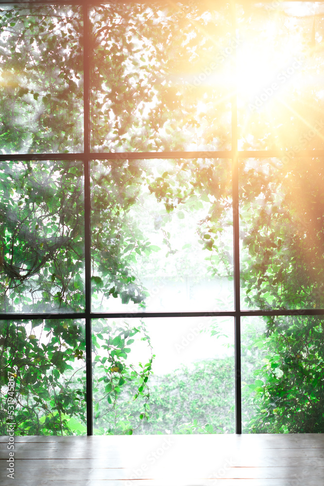 window and table top with tree background. Summer. Outside the window, leaves and trees. Sunny day. Abstraction background. window and table top with tree background. Summer. Outside the window, leaves and trees. Sunny day. Abstraction background.