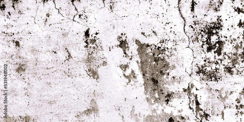 Fototapeta premium White and brown cement grunge old wall texture background. You can use for Background, Texture, Wallpaper, template and the other site. 