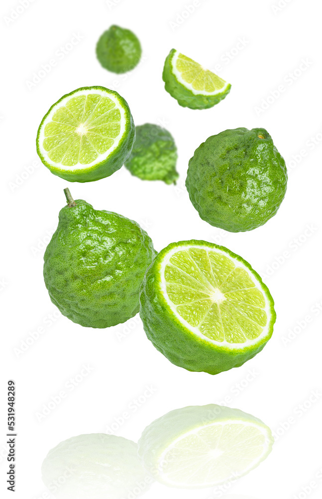 Fresh bergamot or kaffir lime fruit with slice levitate isolated on white background. 