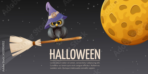 Halloween night background. Owl in a sorcery hat on a broomstick and full moon.Vector horizontal illustration with space for text. For banner, poster, flyer, website 