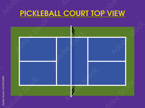 Pickleball Court Top View vector