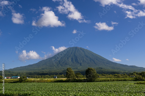 雄大な姿を見せる蝦夷富士 夏の羊蹄山