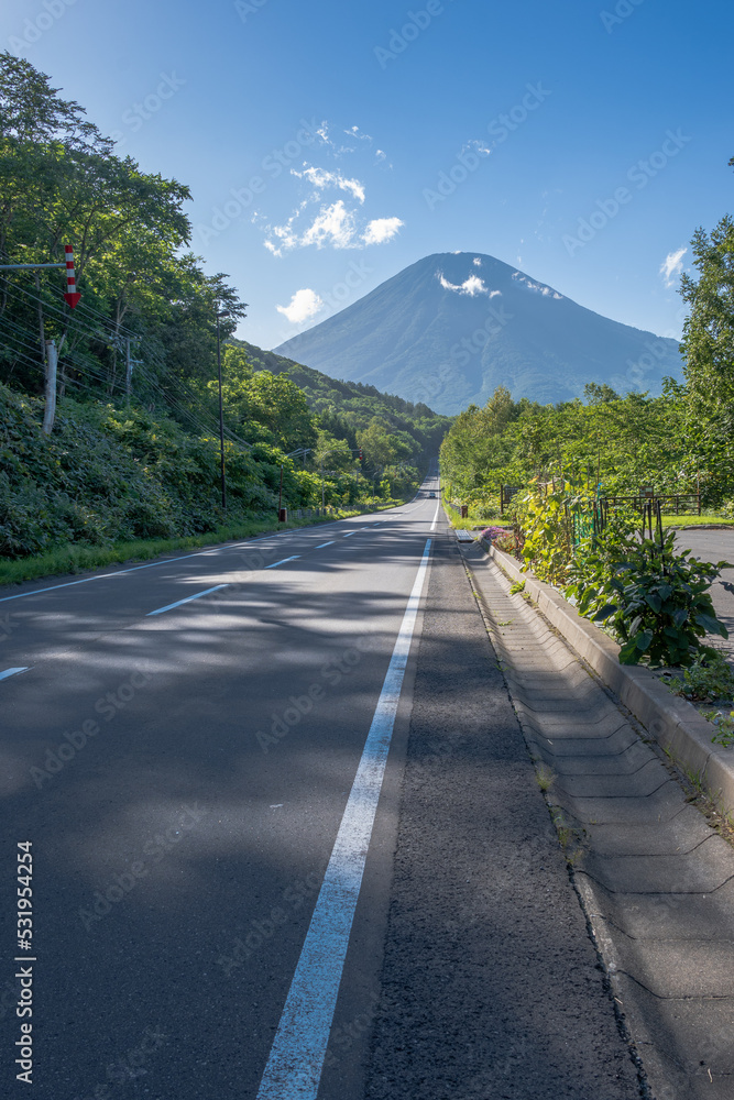 Naklejka premium 国道のはるか先にそびえる羊蹄山