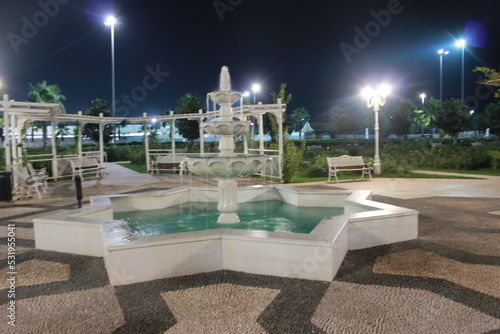 fountain in the night
