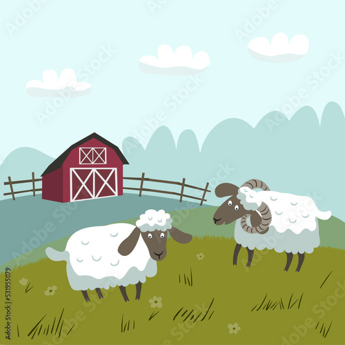 White sheep with black muzzles graze in a meadow. Red farm in the background. 