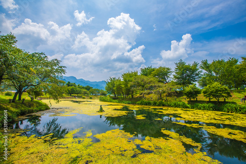 熊本県 南阿蘇村・明神池名水公園の風景 