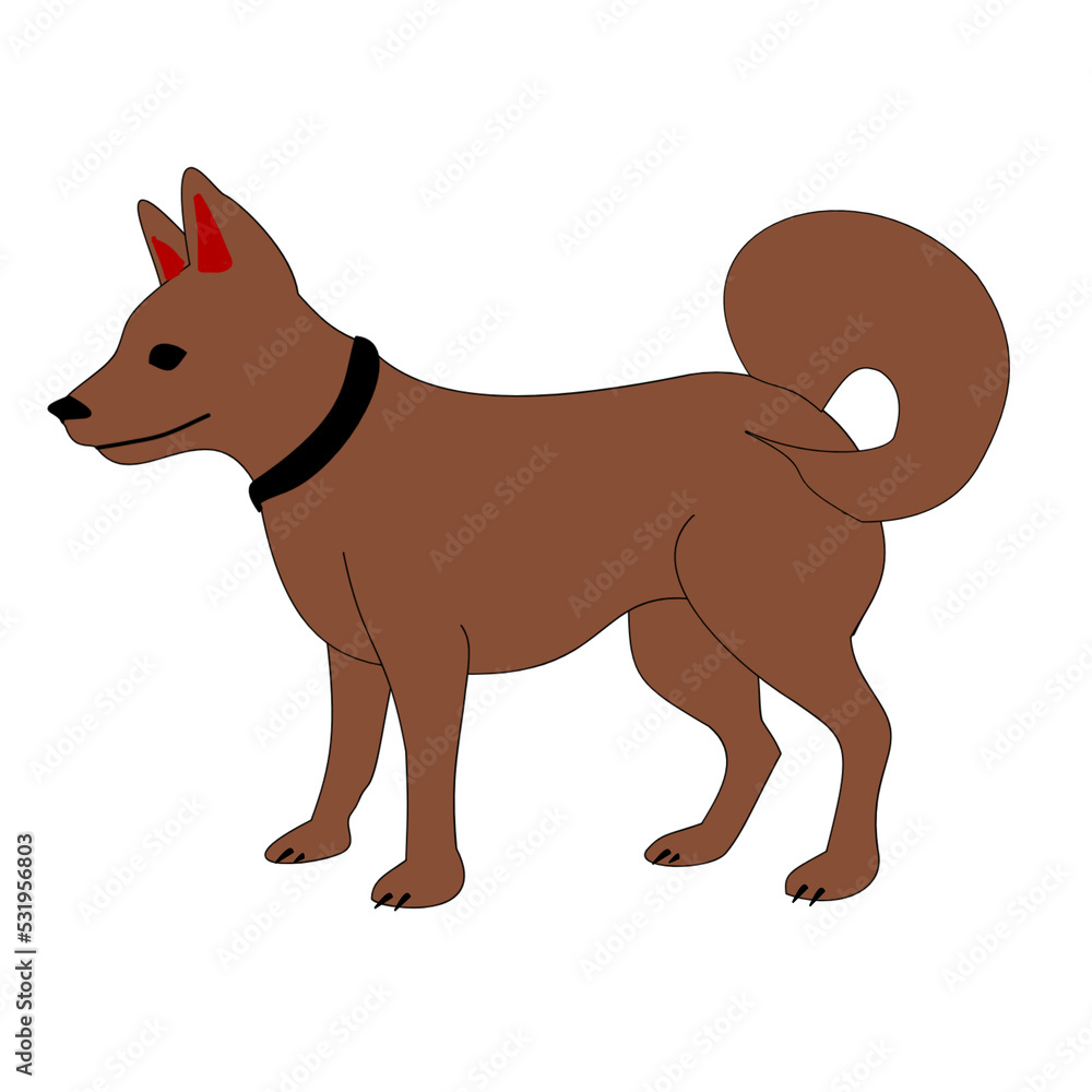 illustration of a brown dog isolated on white background 