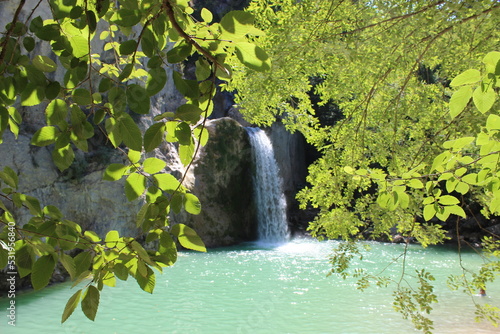 waterfall in the forest