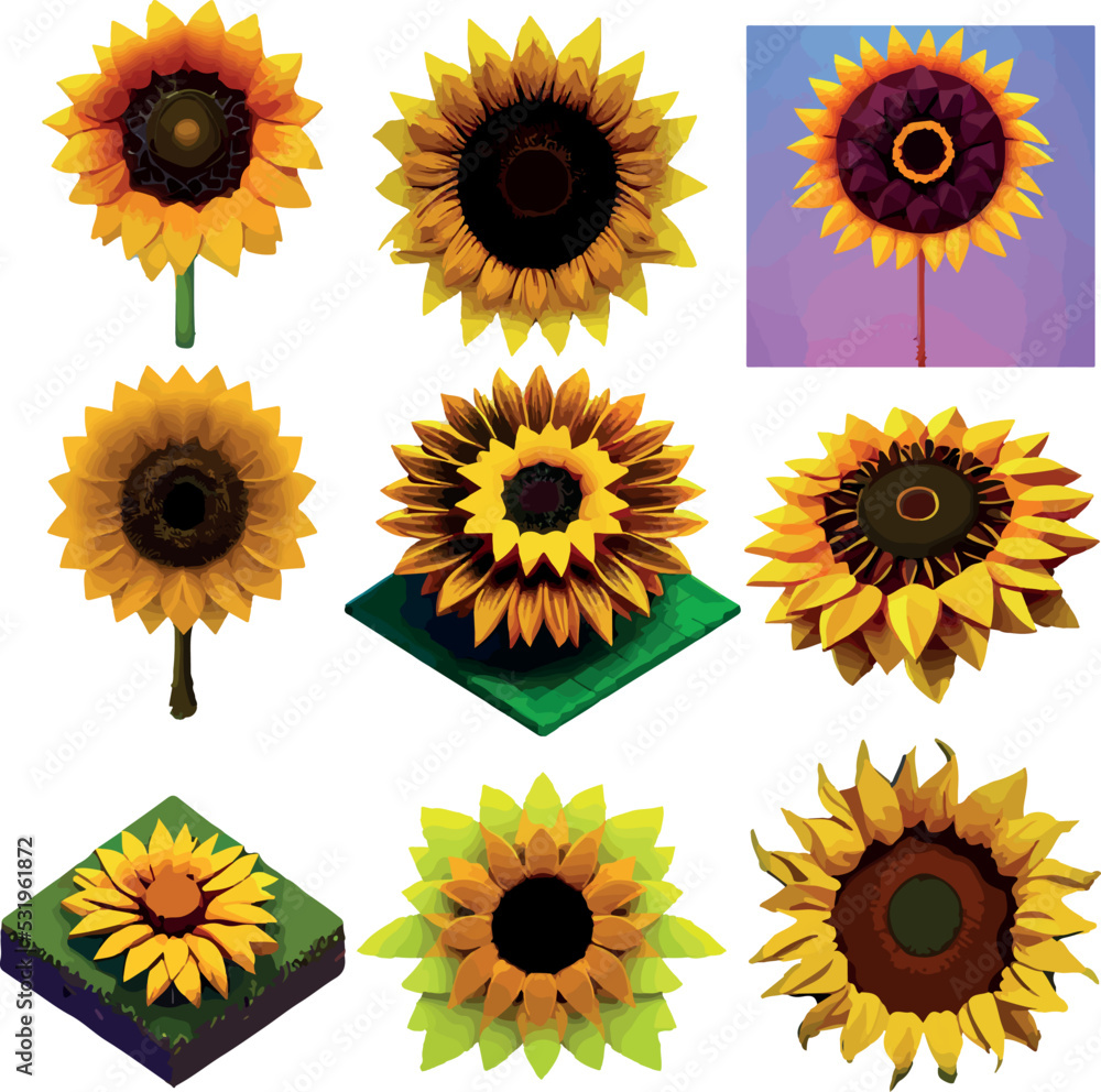 Sunflower set Low poly concept on white background Sunflower set Low poly concept on white background