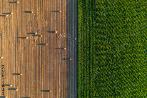 Aerial top down view of wheat and corn fields at sunset. Parallel lines and haystacks, image of agriculture in Normandy - green and gold