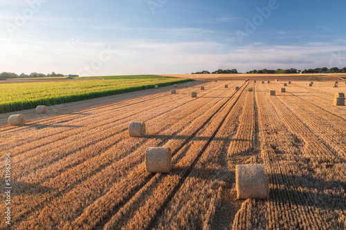 Billede på lærred Wheat and corn fields at sunset after harvesting