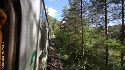 Septemvri–Dobrinishte narrow-gauge line photo