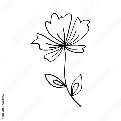 Flower line art illustration  outline decoration PNG
