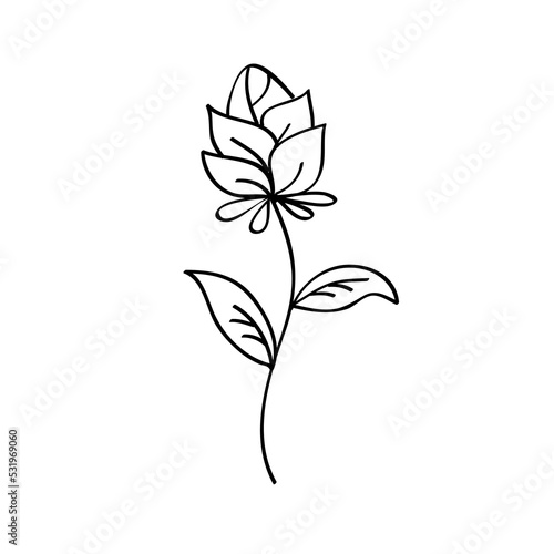 Flower line art illustration  outline decoration PNG