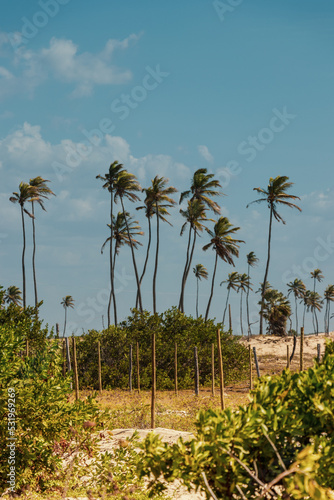 Obraz na płótnie paisagem natural em atins maranhão w salonie